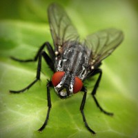 /album/chiecefisa/photolia-a01-jpg/