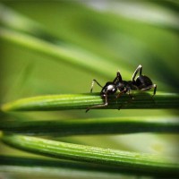 /album/chiecefisa/photolia-a05-jpg/