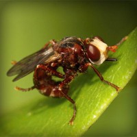 /album/chiecefisa/photolia-a06-jpg/